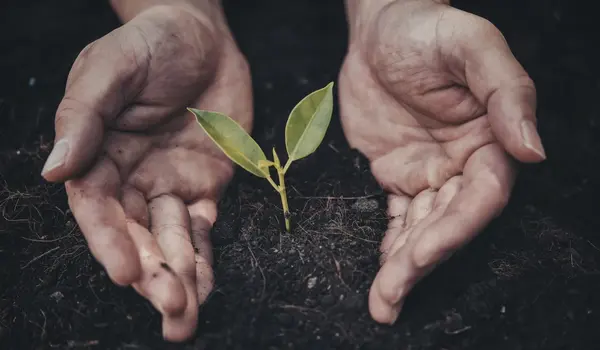 🌍 Journée de la Terre : agir là où ça compte vraiment